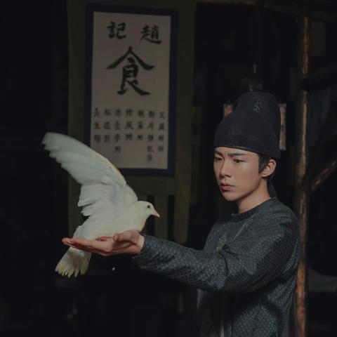 直播厨师风云榜揭秘，中国十大顶尖直播厨师榜单揭晓