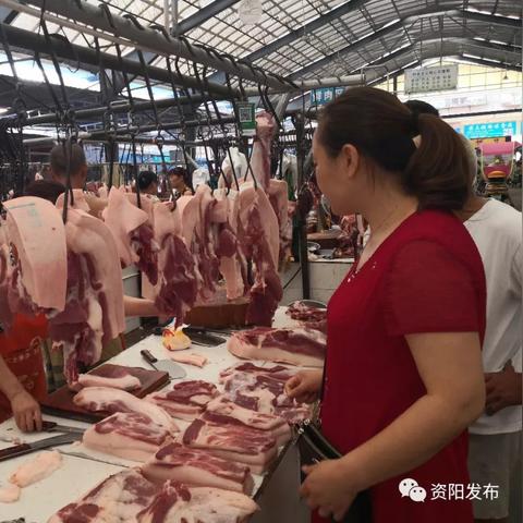 猪肉价格走势揭秘，今日行情分析与水涨价最新消息解读