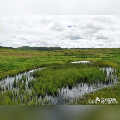 若尔盖旅游全攻略，最新旅行指南探索之旅