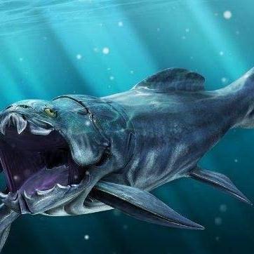 远古巨兽TOP10，揭秘史前巨型生物的震撼身影排行榜