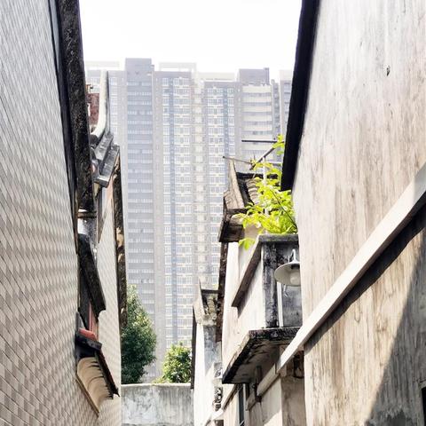 全球城市繁荣与进步总排名，一览世界都市风采