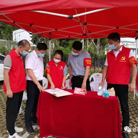 苍南疫情最新今日动态