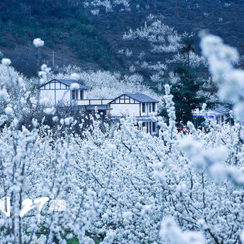 贵州旅游探索之旅，揭秘自然与文化宝藏的趣味攻略