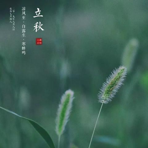 鸟之将死 第6页