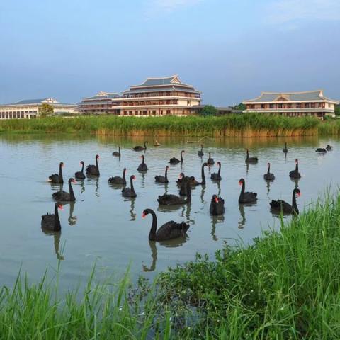 厦门旅游攻略，完美指南助你畅游厦门之旅！