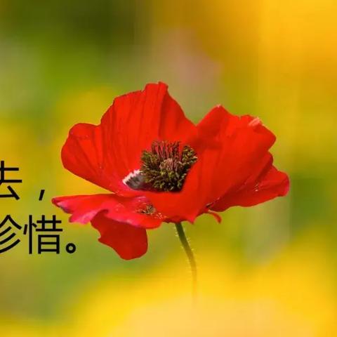 励志名言短句，唤醒内心深处的无穷力量