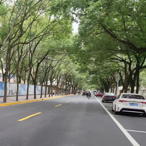 打马虎眼 第6页