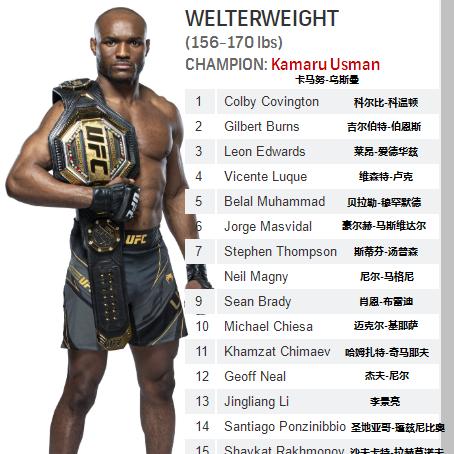 全球UFC男子排名深度解析