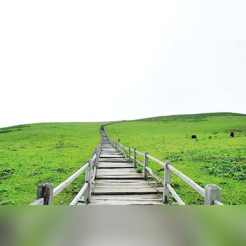 昆明至泸沽湖旅游攻略，一场惊艳之旅！