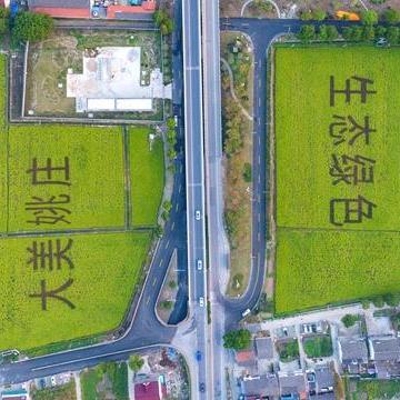 北蔡村今日动态速递，最新发展概览
