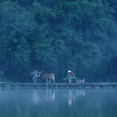 慎重其事 第5页