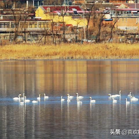 怀柔游玩攻略地图更新！探索自然美景，畅享怀柔之旅