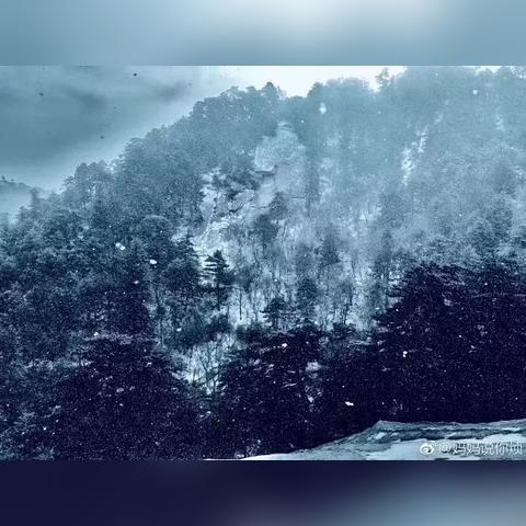 华山半日游攻略，探秘壮丽山川，畅游华山胜景