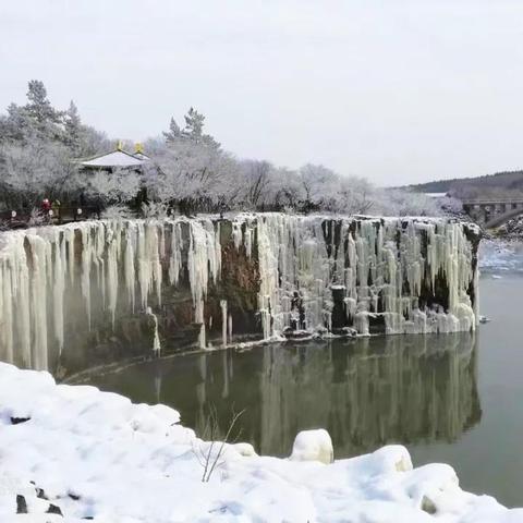 芳兰竟体 第5页