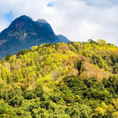 重庆金秋十月旅游攻略揭秘，深度游赏，玩转山城时光！