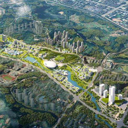 仙桃最新发展动态，城市脉搏与民生热点聚焦