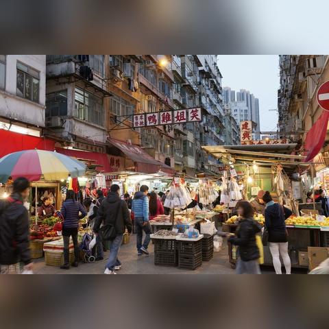新闻动态 第2062页