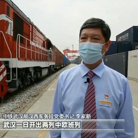 匈牙利最新疫情数据深度解析，全面洞悉抗疫现状