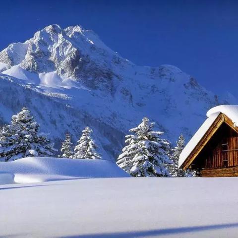 东北圆通下雪探索冬日雪景之美视频揭秘