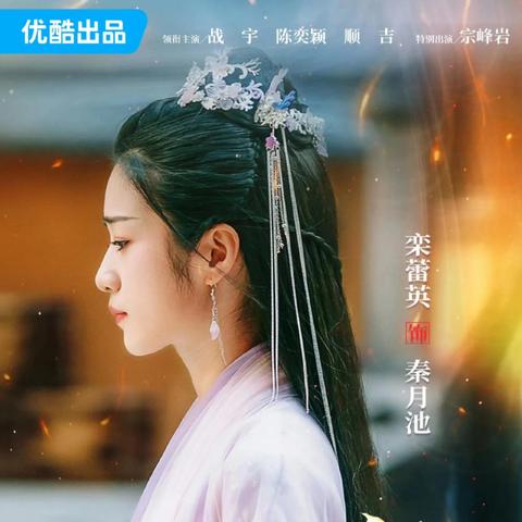 武神主宰最新动态揭秘，深度解析今日更新内容