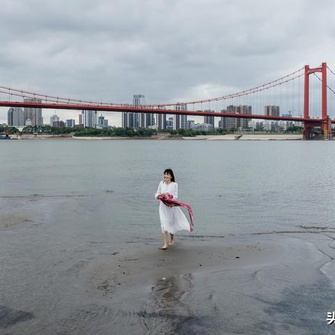 武汉长江水位最新动态，守护家园安全，关注水位变化时刻不放松