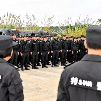 海南市新闻速递，今日头条视频直击，城市声音尽在掌握