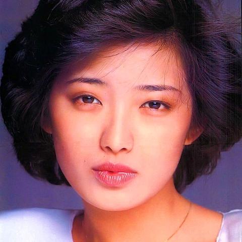 江西封套公司排名揭秘，行业洞察与深度分析