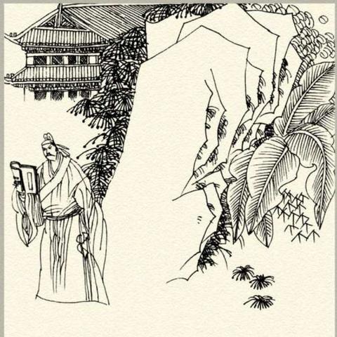 临洮首富独家揭秘，富豪榜单前十名，财富背后的故事！
