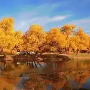 临夏至广元自驾攻略大全，最新指南全掌握