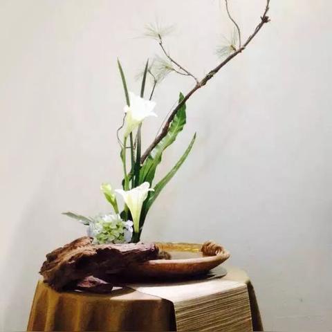 料事如神 第5页