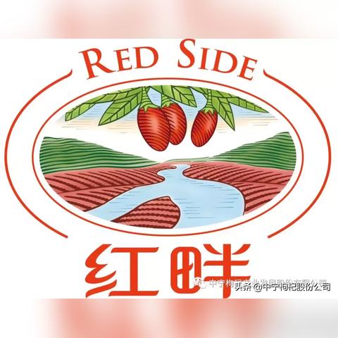 探寻中药材品种公司行业领军者排名榜单！