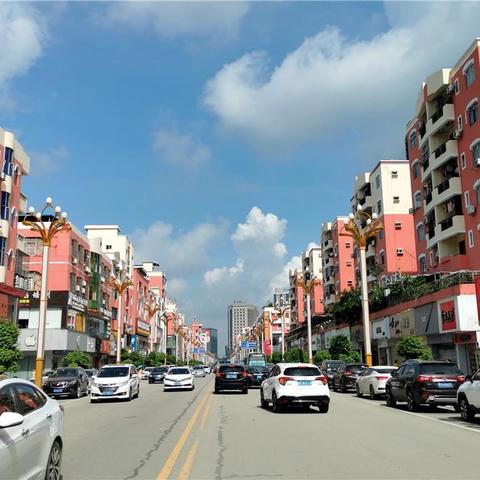樟城市最新动态与发展趋势探索头条新闻