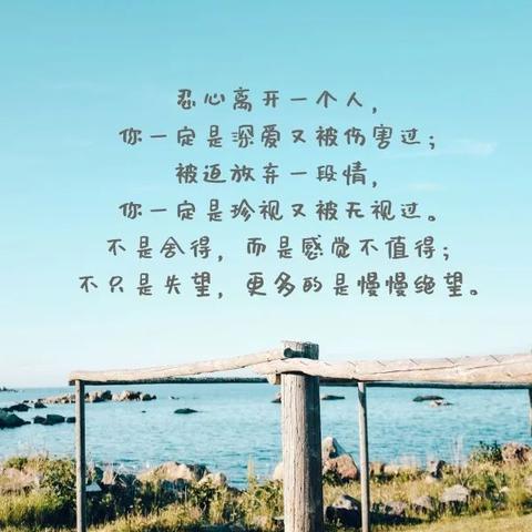 林下风气 第6页