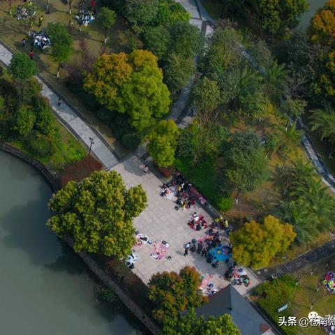 龙港十大昂贵小吃榜单揭晓，独特美食之旅不容错过