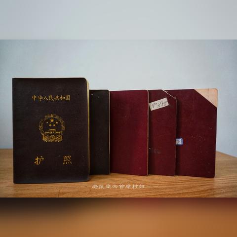中国护照出国指南，最新攻略大全