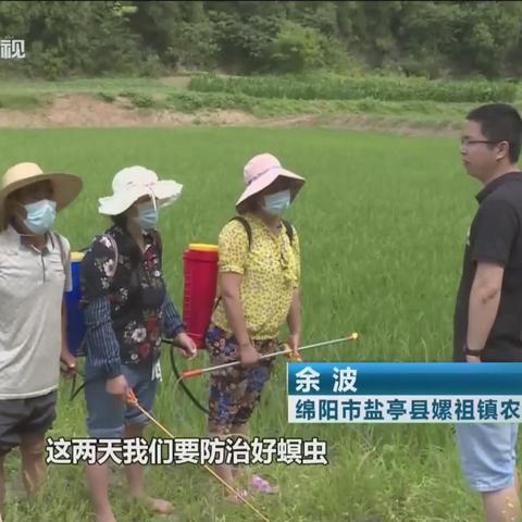 盐亭最新消息速递，今日地方新闻全览