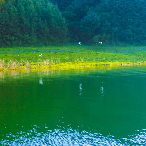 漓江垂钓盛景，生态保护与垂钓盛宴的平衡之道