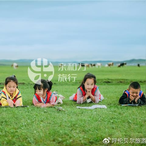 呼伦贝尔深度游攻略，探秘必去景点，体验绝美风光之旅