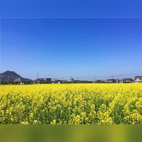 苍南旅游拍照攻略，捕捉绝美瞬间，留下永恒回忆