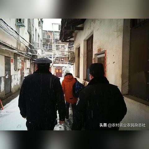 商城车祸事件深度报道，新闻头条揭秘事故内幕