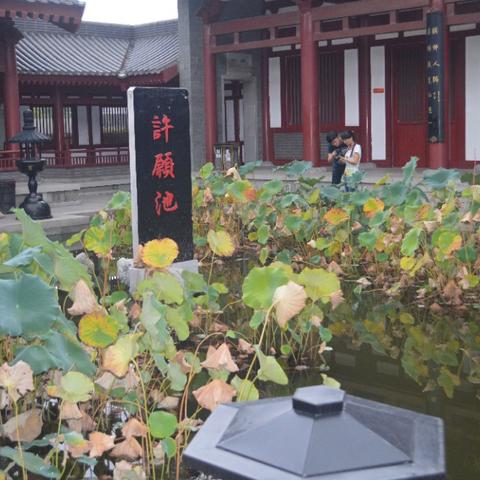 西安十大学校排名揭秘，深度探索背后的故事