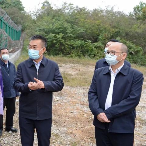 靖西那坡两地最新动态与发展趋势探索报道