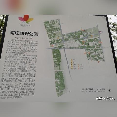 独家揭秘，徒步探索魔都上海的绝佳旅游攻略路线