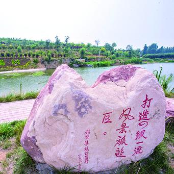 广东鹤山市最新新闻报道综述速递