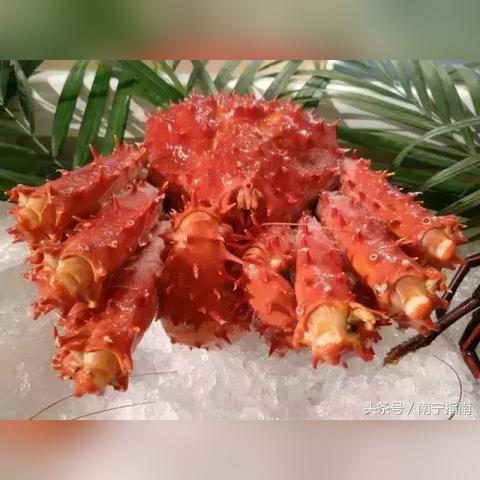 海南开海海鲜最新价格动态一网打尽