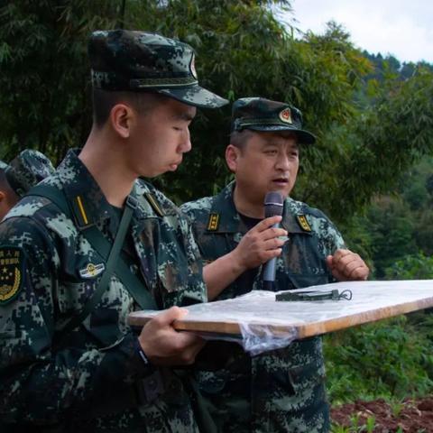 赛事走向揭秘，最新竞猜分析图表助你精准预测，决胜千里！