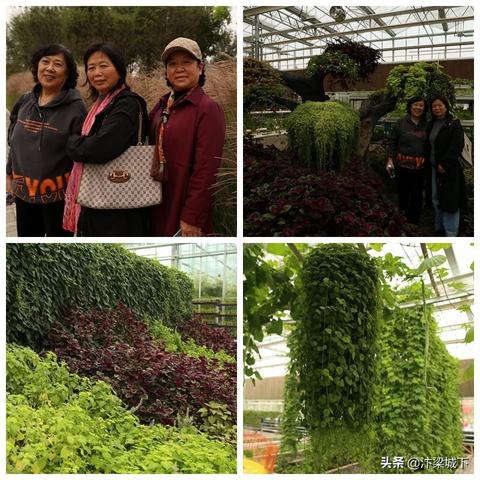 开封高新区焦点新闻解读，今日深度剖析高新发展动态