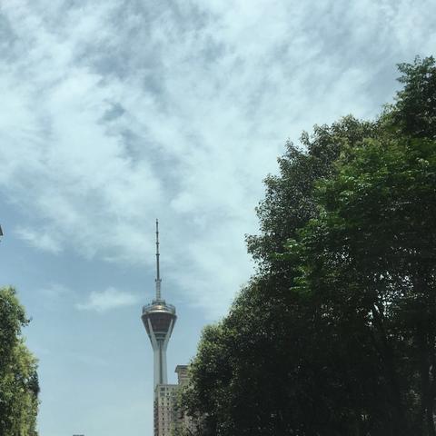 天气预报轻松查，成都天气一手掌握