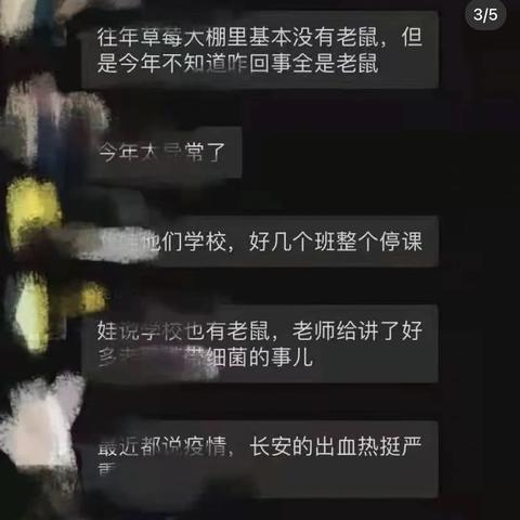 西安出血热事件深度解析，最新头条新闻