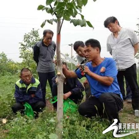 今日阳城疫情最新动态，全面关注，应对策略全解析